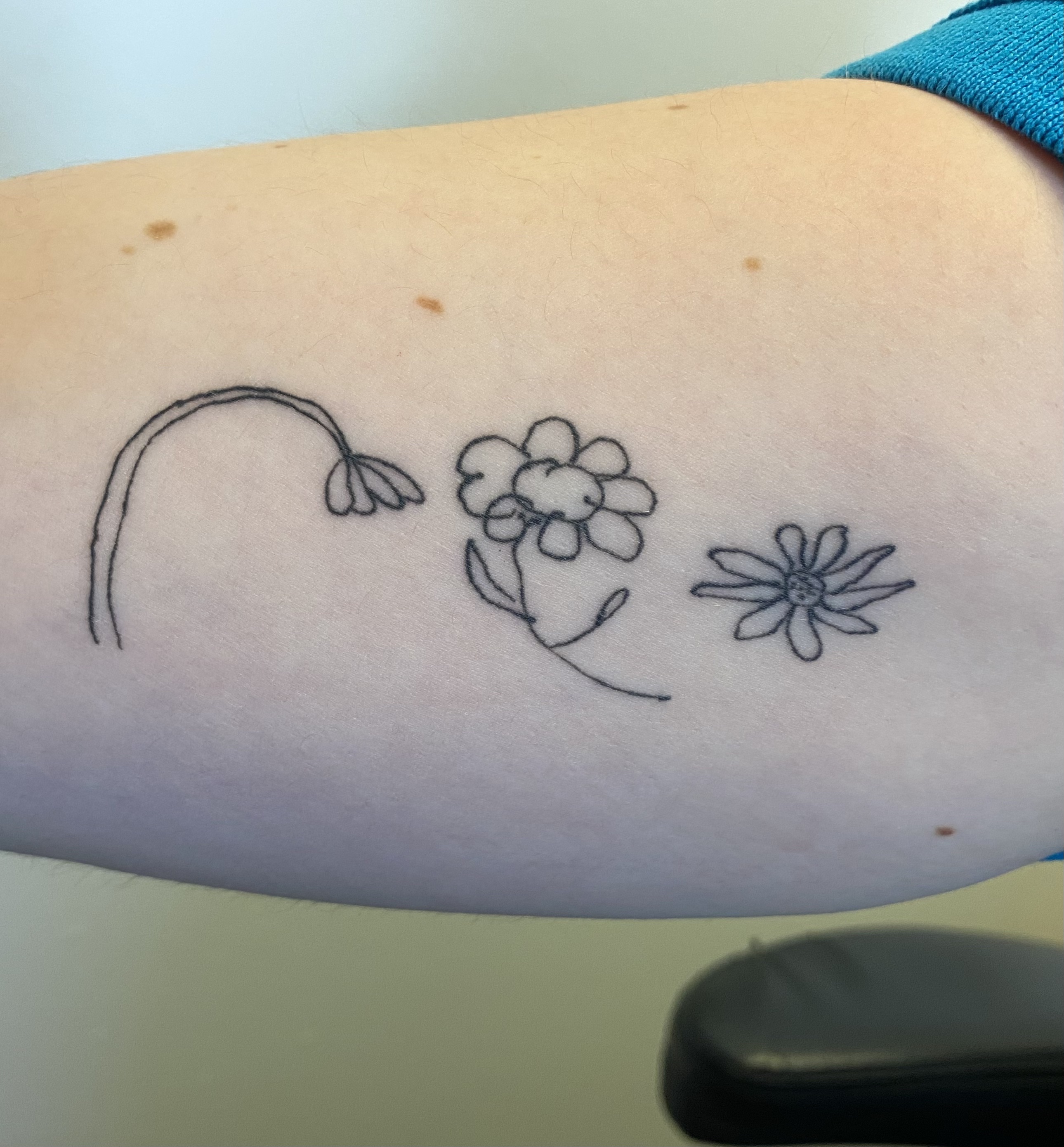 Charlotte's Tattoo Blog Post